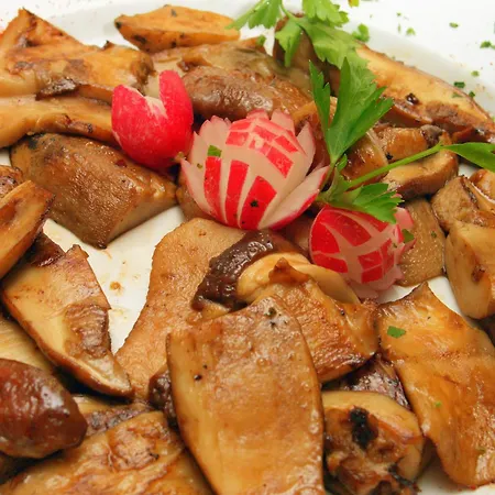 Bitoraj Fužine