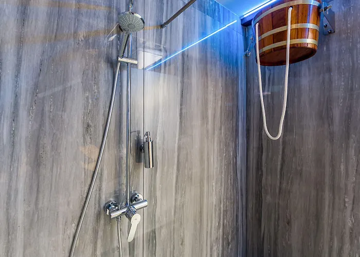 Bitoraj 4* 弗济内