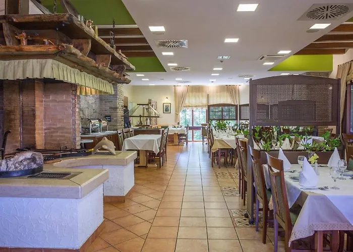 Bitoraj 4* 弗济内